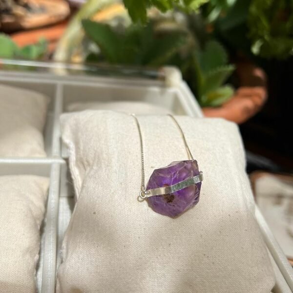 325812010_3863143293912124_4684563723178069720_n