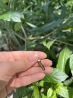 Pingente Turmalina verde